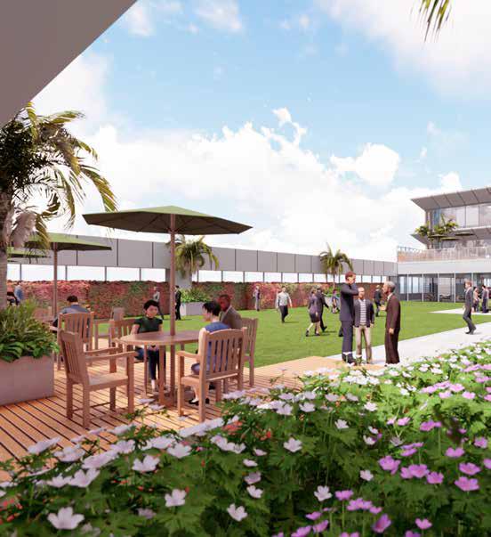 Roof Deck Garden